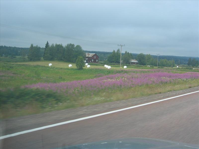 Sweden 2006-04 108